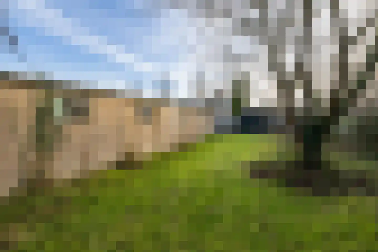 Ds. Wentinkstraat 15 Nieuwe-Tonge thumbnail 30