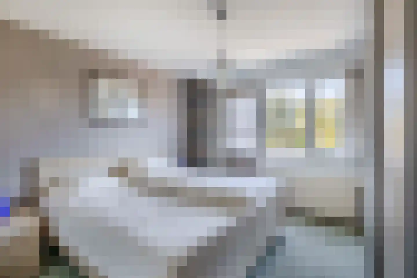 Ds. Wentinkstraat 3 a Nieuwe-Tonge thumbnail 10