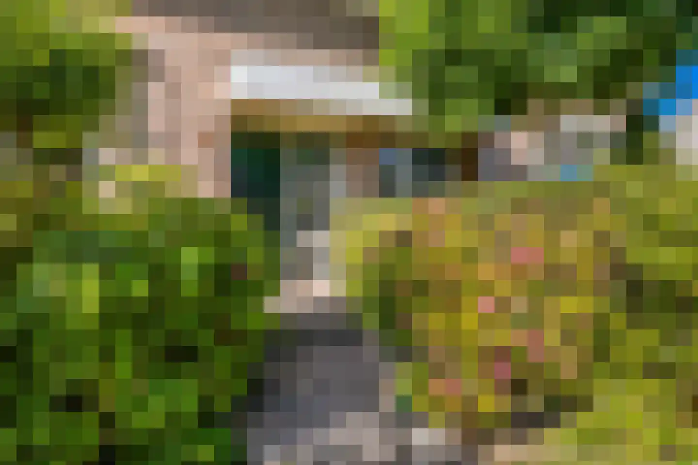 Ds. Wentinkstraat 3 a Nieuwe-Tonge thumbnail 16
