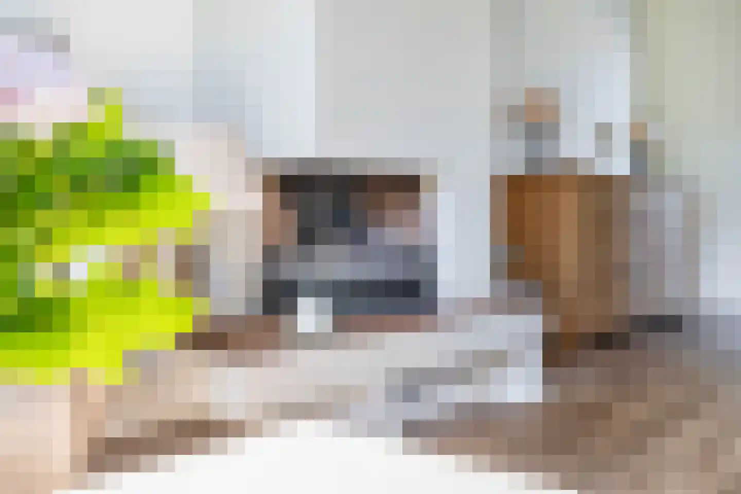 Ds. Wentinkstraat 3 a Nieuwe-Tonge thumbnail 20