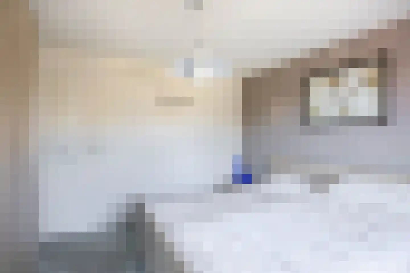 Ds. Wentinkstraat 3 a Nieuwe-Tonge thumbnail 24