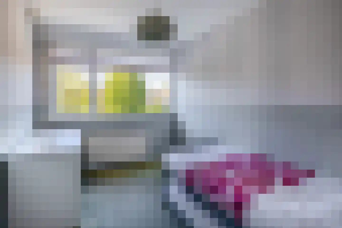 Ds. Wentinkstraat 3 a Nieuwe-Tonge thumbnail 26
