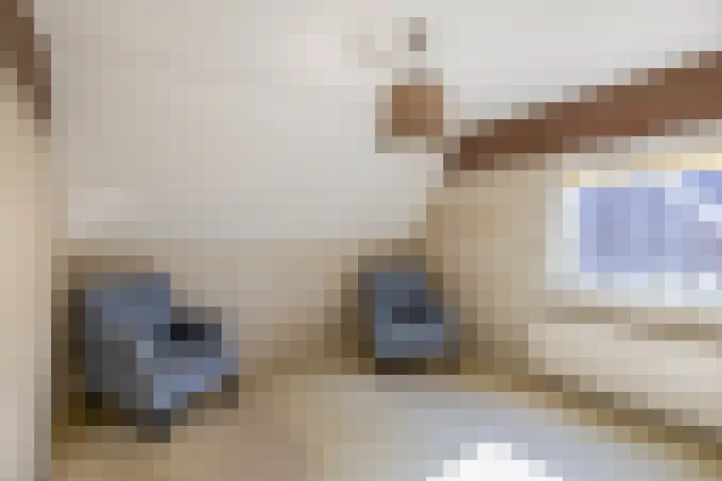 Ds. Wentinkstraat 3 a Nieuwe-Tonge thumbnail 27