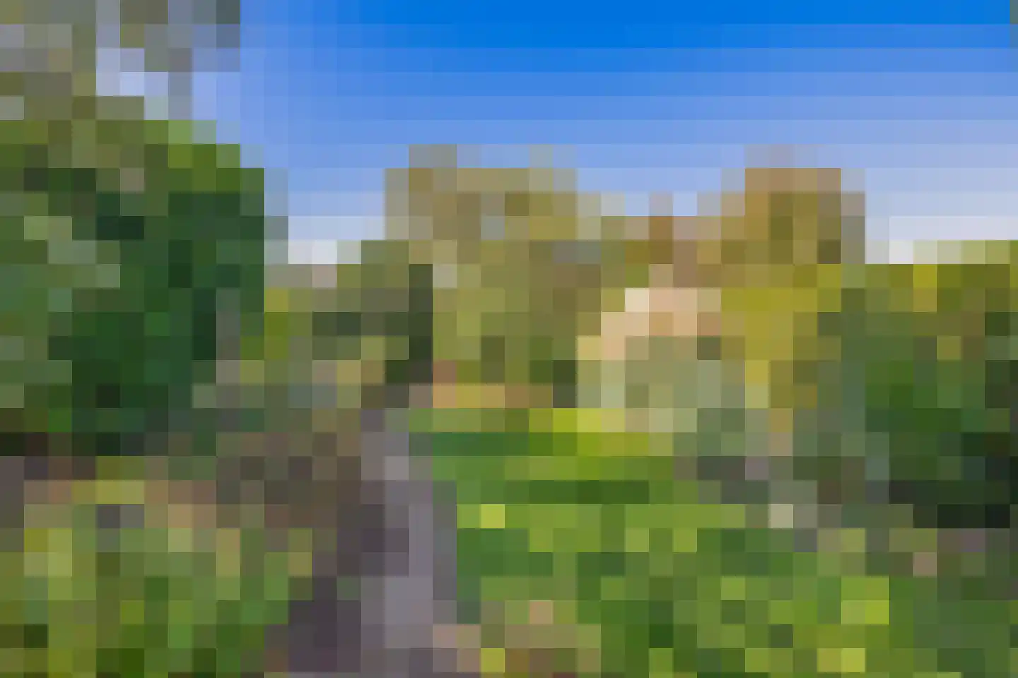 Ds. Wentinkstraat 3 a Nieuwe-Tonge thumbnail 32