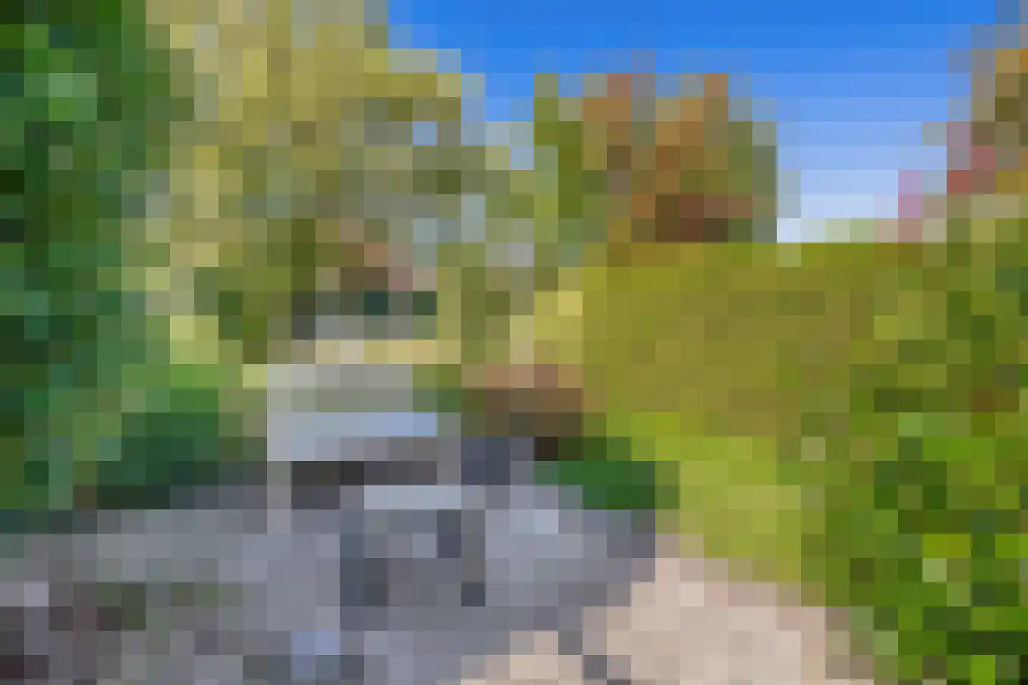 Ds. Wentinkstraat 3 a Nieuwe-Tonge thumbnail 33