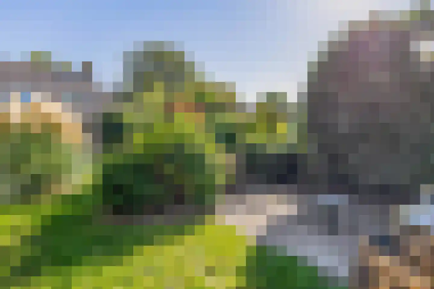 Ds. Wentinkstraat 3 a Nieuwe-Tonge thumbnail 34
