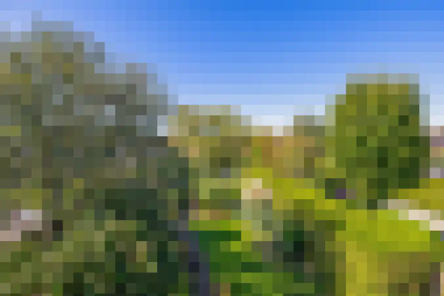 Ds. Wentinkstraat 3 a Nieuwe-Tonge thumbnail 35