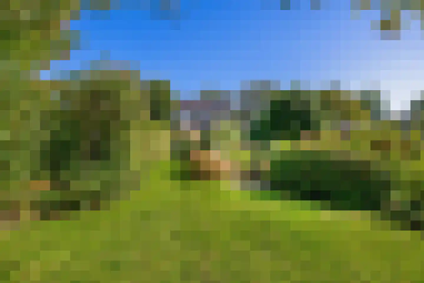 Ds. Wentinkstraat 3 a Nieuwe-Tonge thumbnail 4