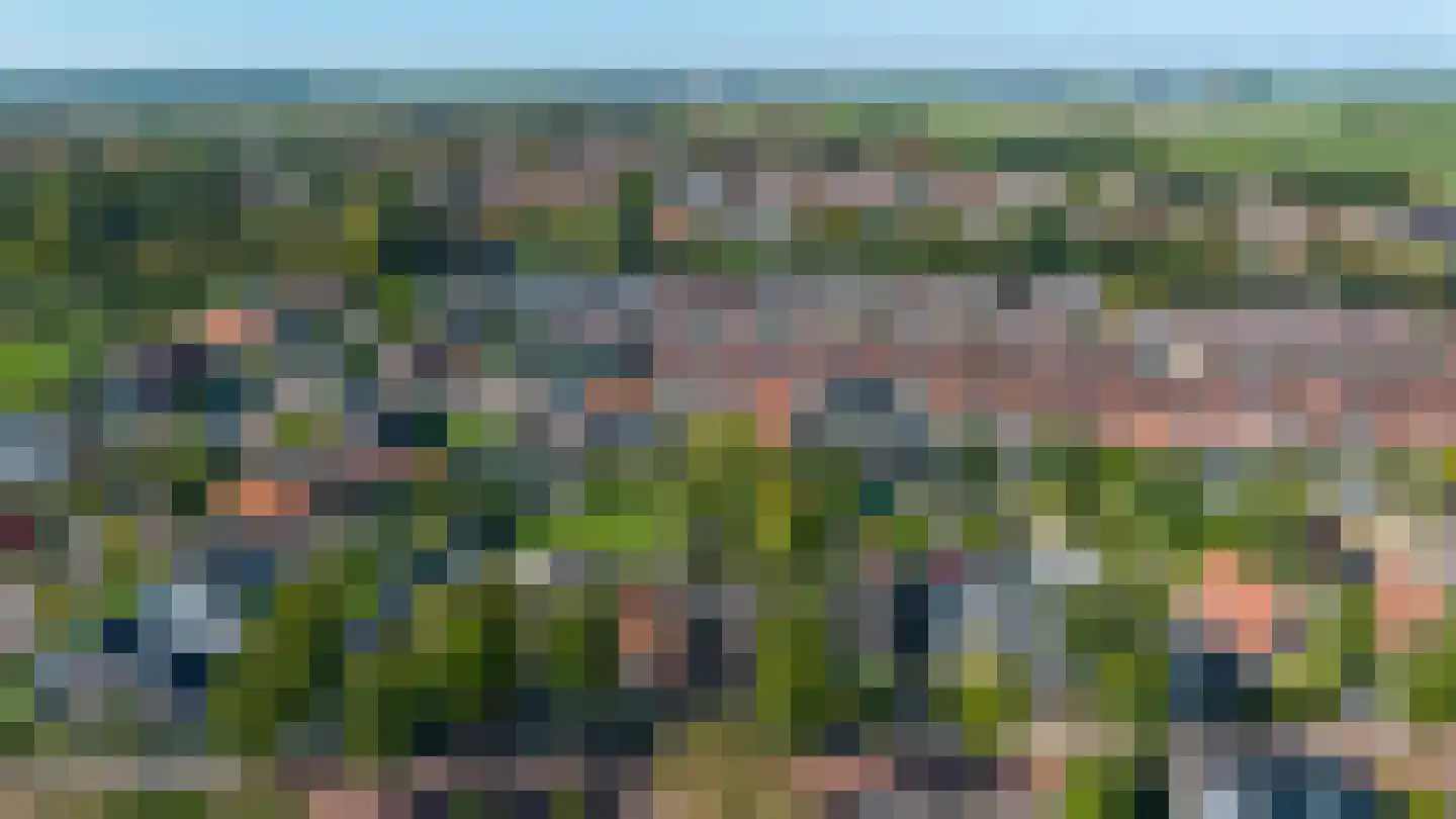 Ds. Wentinkstraat 3 a Nieuwe-Tonge thumbnail 40