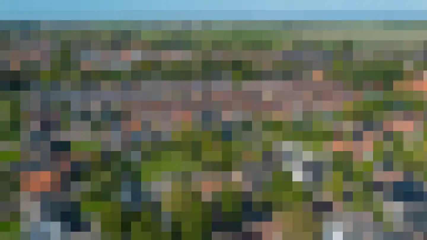 Ds. Wentinkstraat 3 a Nieuwe-Tonge thumbnail 41