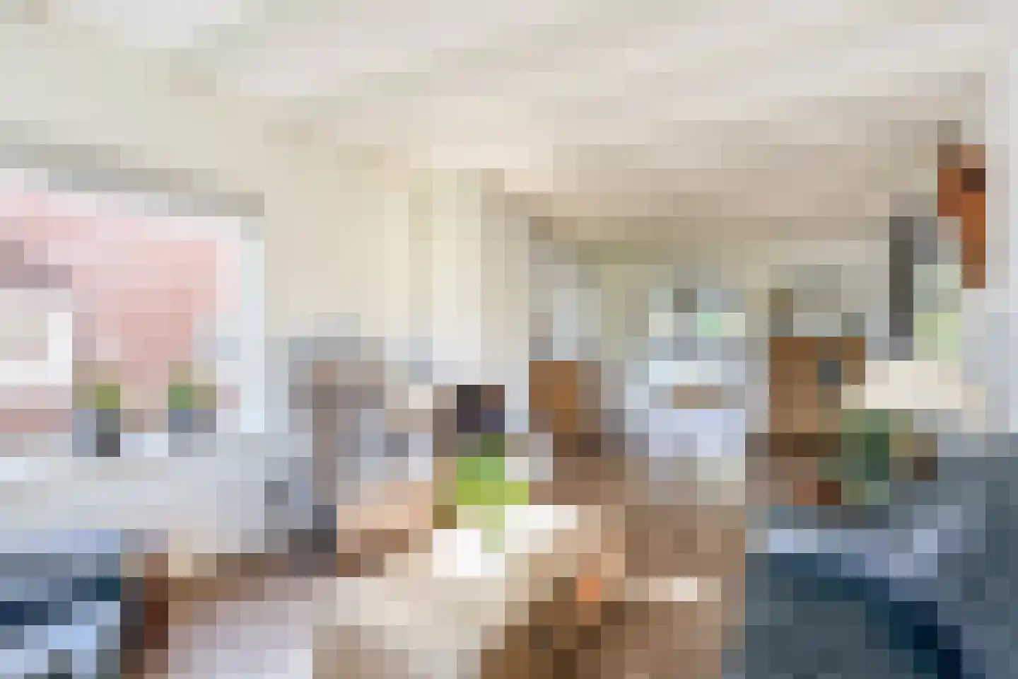 Ds. Wentinkstraat 3 a Nieuwe-Tonge thumbnail 6