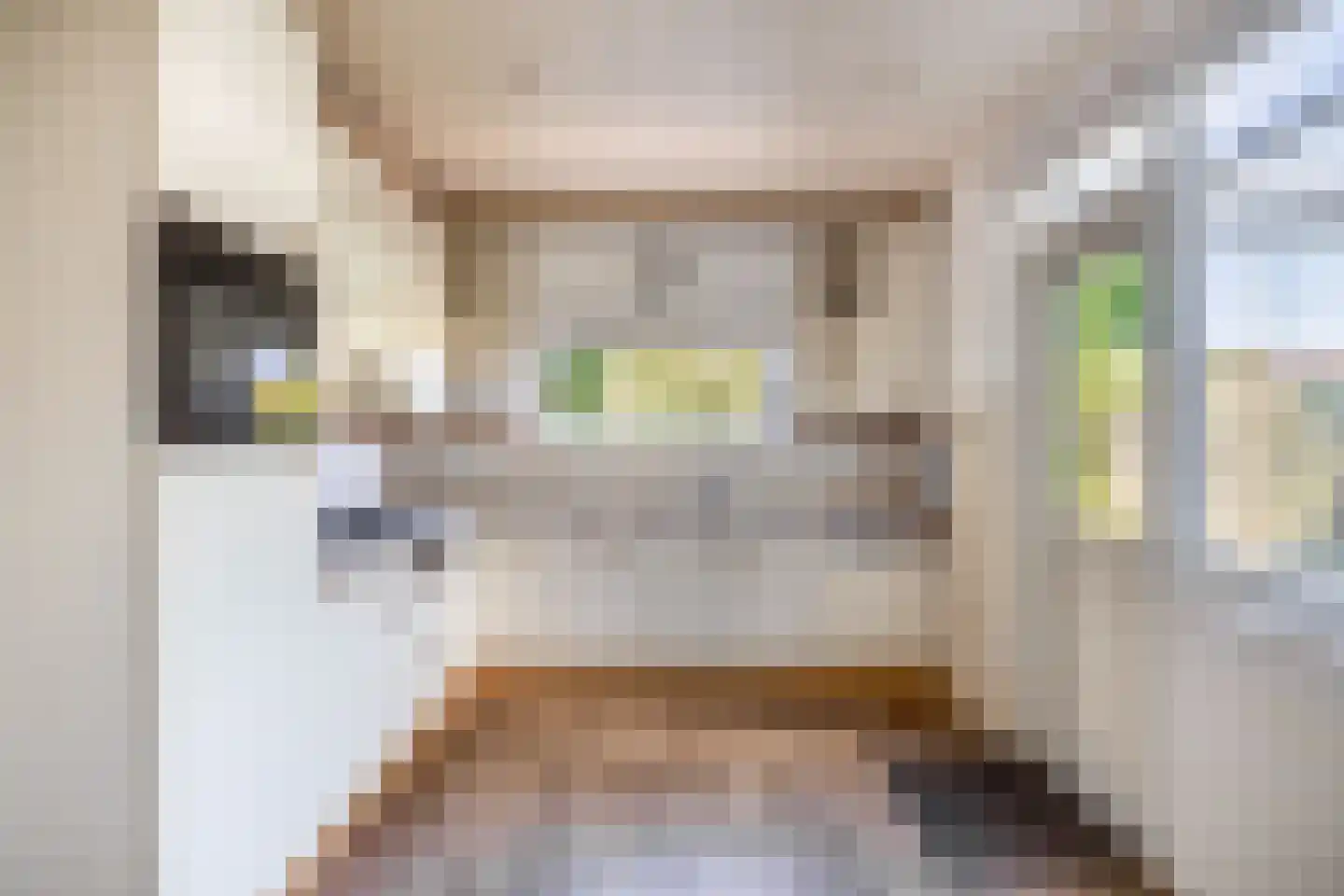 Ds. Wentinkstraat 3 a Nieuwe-Tonge thumbnail 8