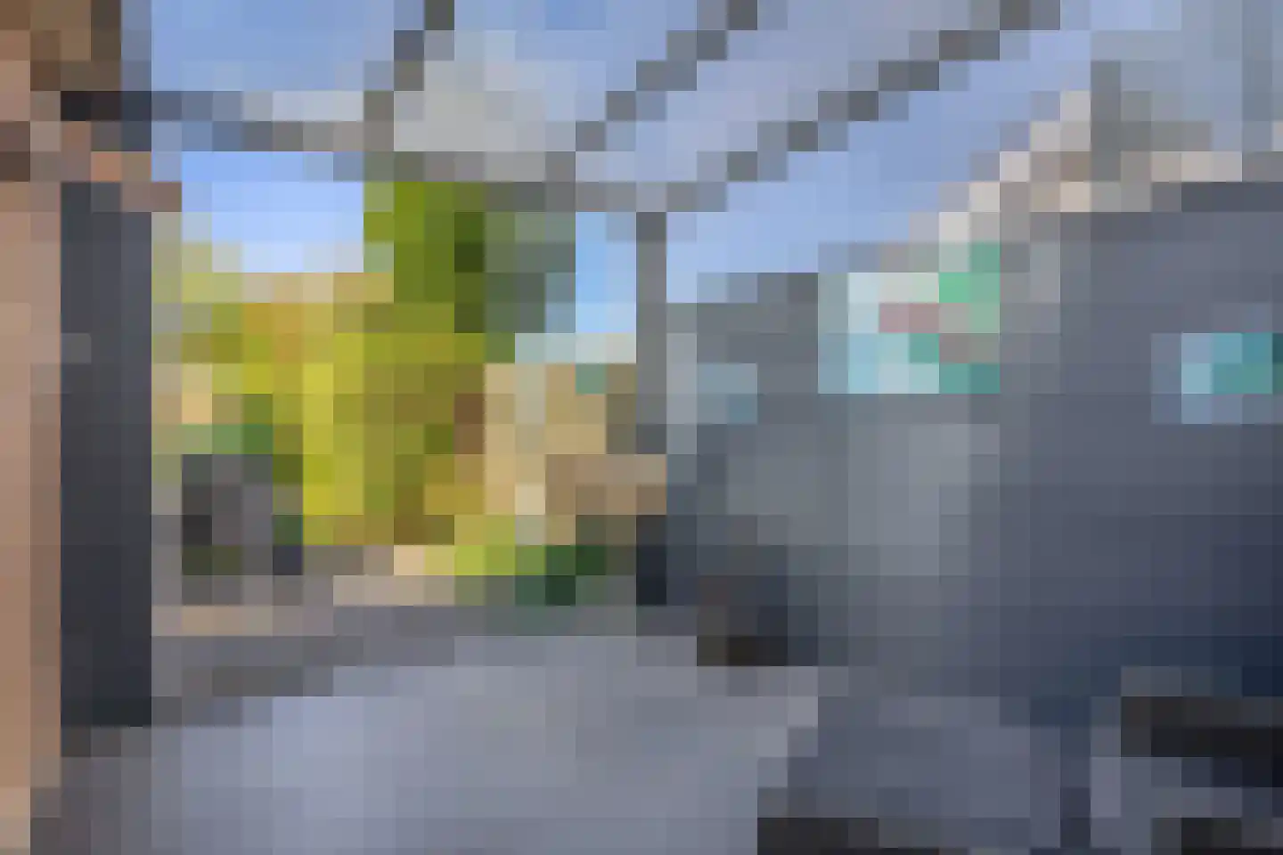 Ds. Wentinkstraat 3 a Nieuwe-Tonge thumbnail 9