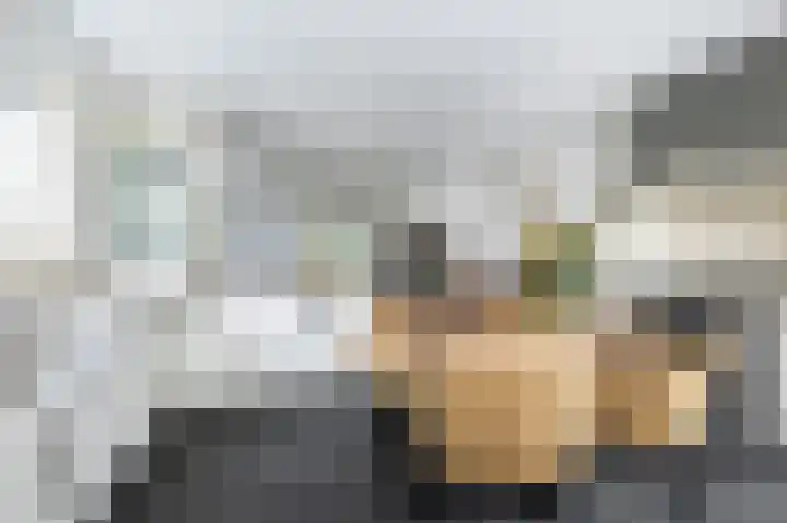 Ds. Wentinkstraat 4 Nieuwe-Tonge thumbnail 10