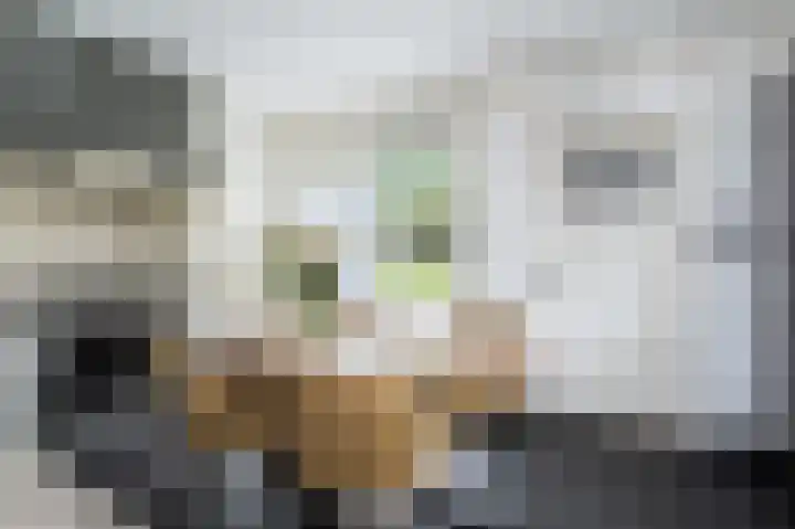 Ds. Wentinkstraat 4 Nieuwe-Tonge thumbnail 12