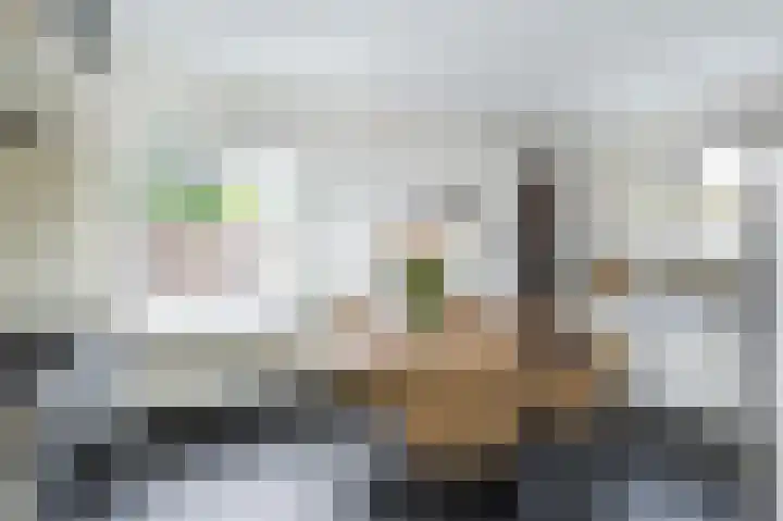Ds. Wentinkstraat 4 Nieuwe-Tonge thumbnail 13