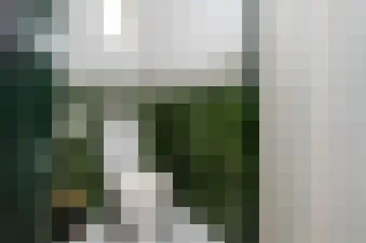 Ds. Wentinkstraat 4 Nieuwe-Tonge thumbnail 16