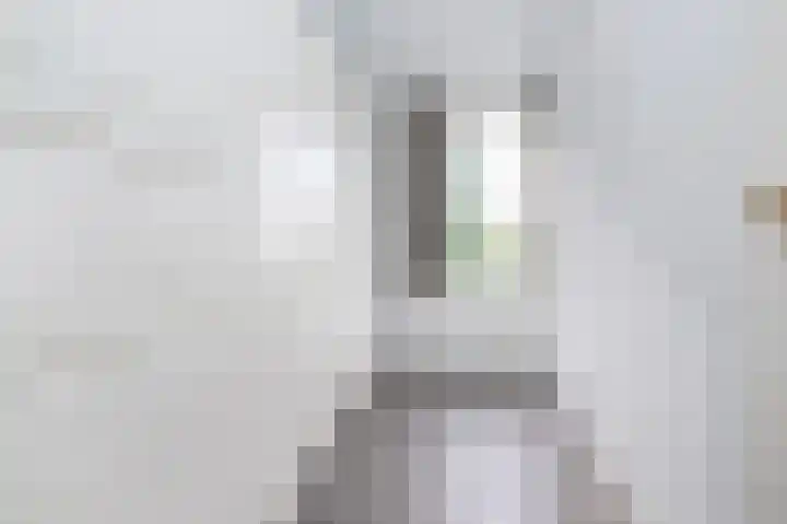 Ds. Wentinkstraat 4 Nieuwe-Tonge thumbnail 21