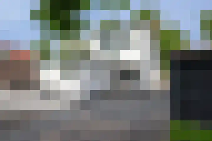 Ds. Wentinkstraat 4 Nieuwe-Tonge thumbnail 25