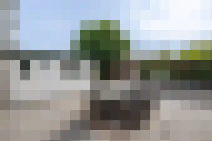 Ds. Wentinkstraat 4 Nieuwe-Tonge thumbnail 26