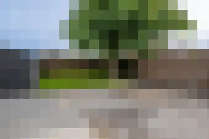 Ds. Wentinkstraat 4 Nieuwe-Tonge thumbnail 28