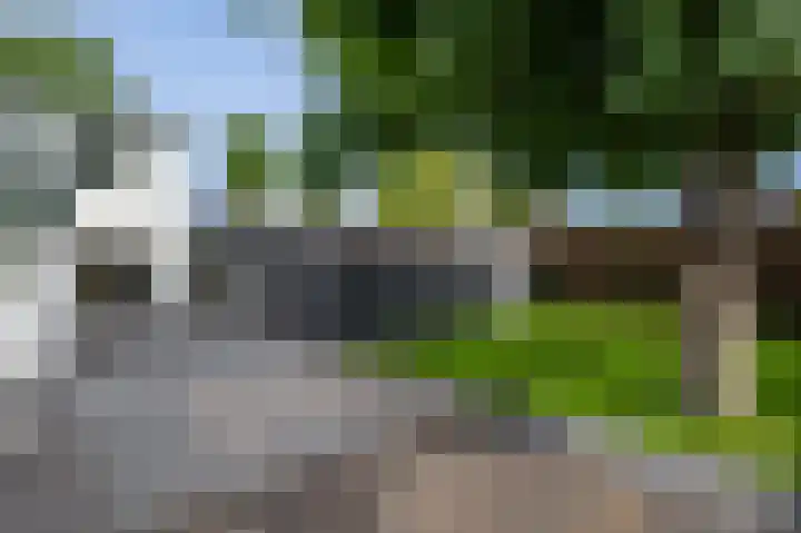 Ds. Wentinkstraat 4 Nieuwe-Tonge thumbnail 29