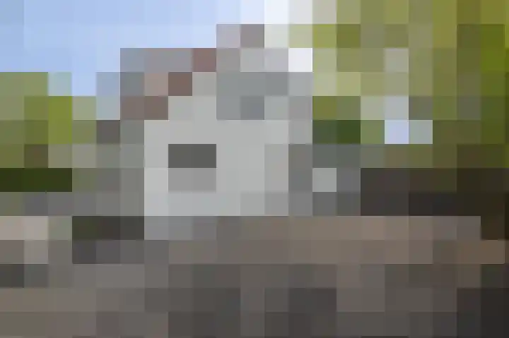 Ds. Wentinkstraat 4 Nieuwe-Tonge thumbnail 32