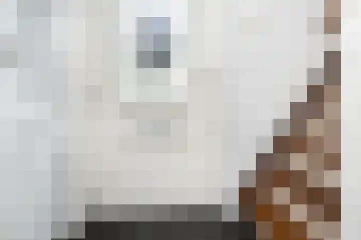 Ds. Wentinkstraat 4 Nieuwe-Tonge thumbnail 6