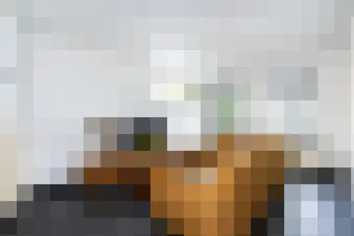 Ds. Wentinkstraat 4 Nieuwe-Tonge thumbnail 8