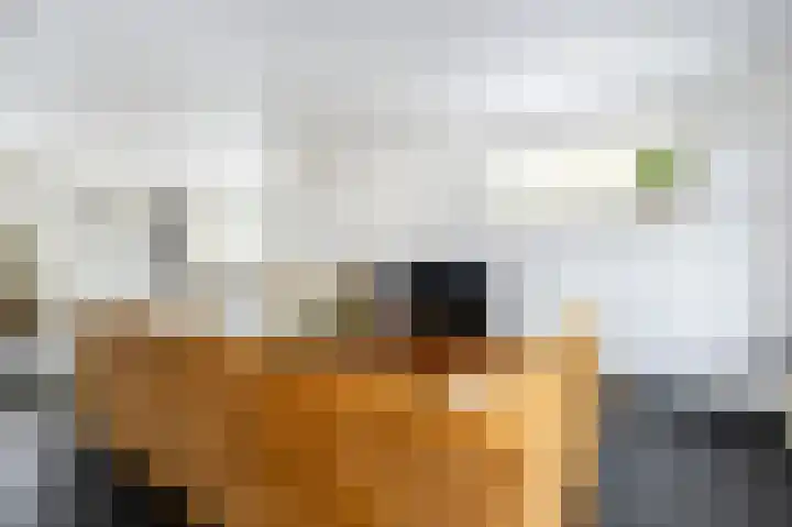 Ds. Wentinkstraat 4 Nieuwe-Tonge thumbnail 9