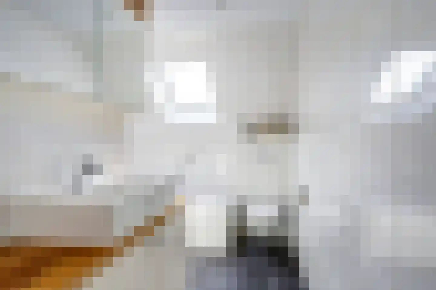 Ds. Wilhelmus à Brakelstrjitte 17 Exmorra thumbnail 22