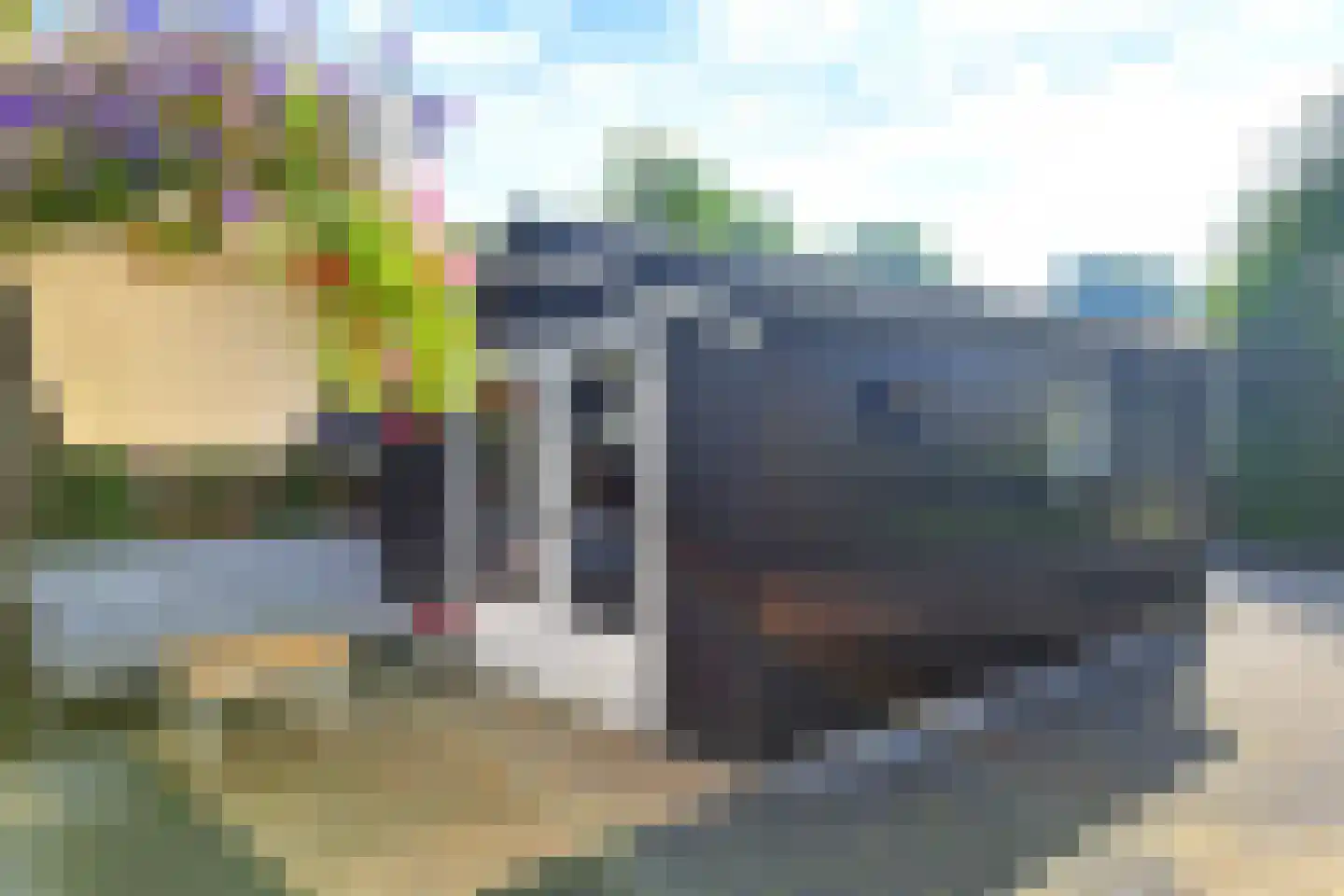 Ds. Wilhelmus à Brakelstrjitte 17 Exmorra thumbnail 29