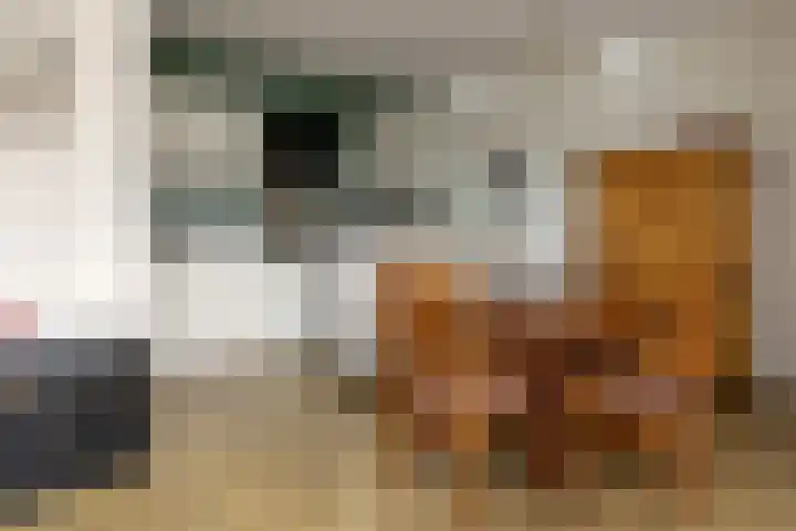 Ds. Wisseweg 16 Elspeet thumbnail 13