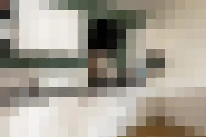 Ds. Wisseweg 16 Elspeet thumbnail 15