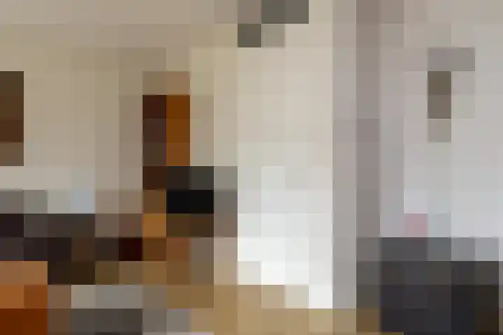 Ds. Wisseweg 16 Elspeet thumbnail 20