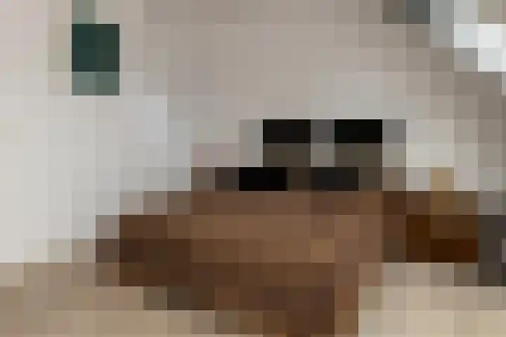 Ds. Wisseweg 16 Elspeet thumbnail 24