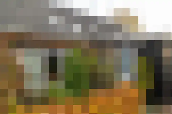 Ds. Wisseweg 16 Elspeet thumbnail 4