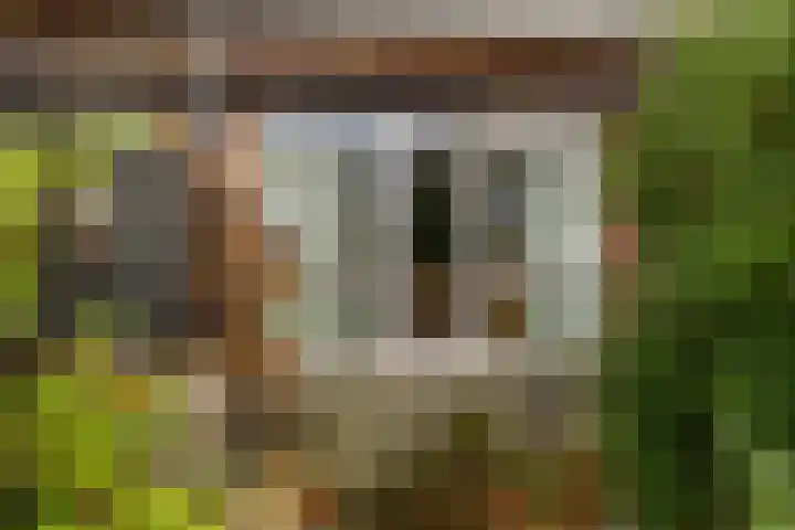 Ds. Wisseweg 16 Elspeet thumbnail 5
