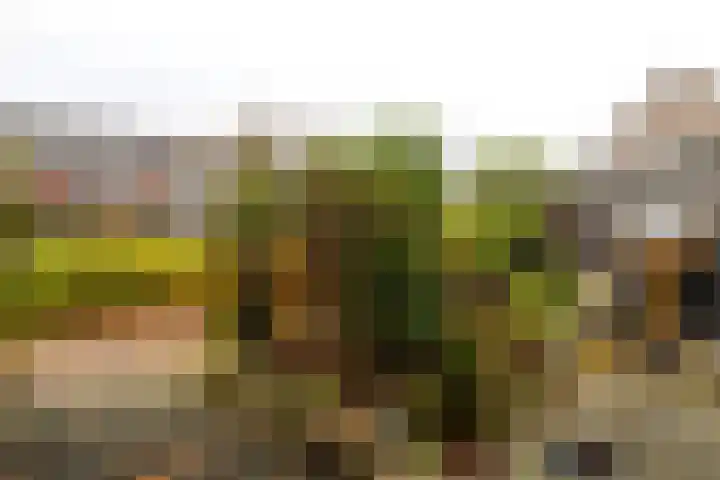 Ds. Wisseweg 16 Elspeet thumbnail 6