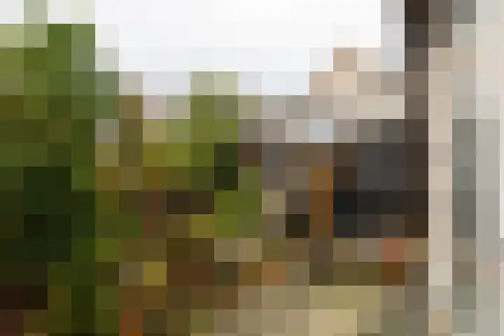 Ds. Wisseweg 16 Elspeet thumbnail 7
