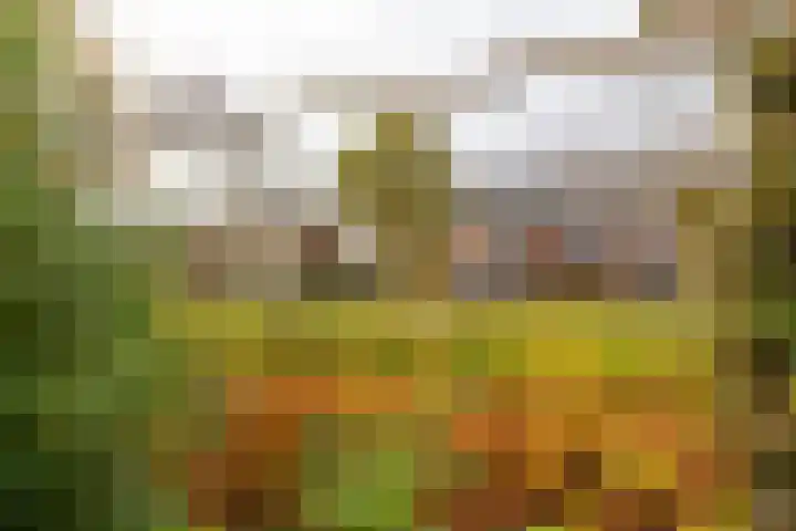 Ds. Wisseweg 16 Elspeet thumbnail 8