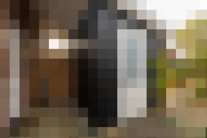 Ds. Wisseweg 16 Elspeet thumbnail 9