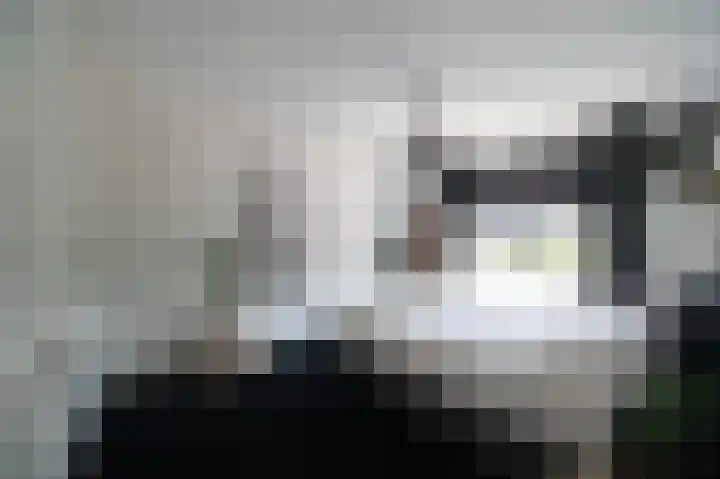Ds. Wisseweg 19 Elspeet thumbnail 22
