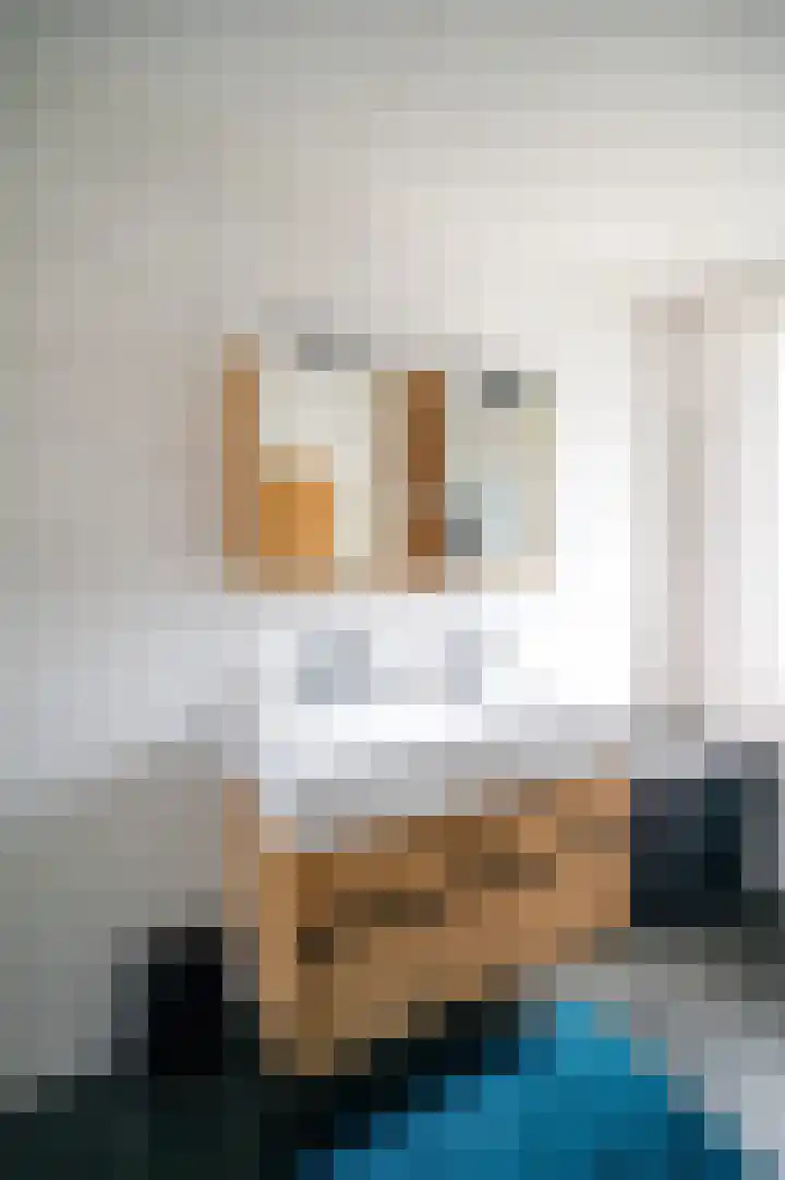 Ds. Wisseweg 19 Elspeet thumbnail 25
