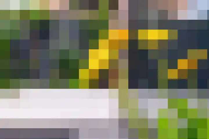 Ds. Wisseweg 19 Elspeet thumbnail 4