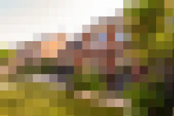 Ds. Wisseweg 19 Elspeet thumbnail 41