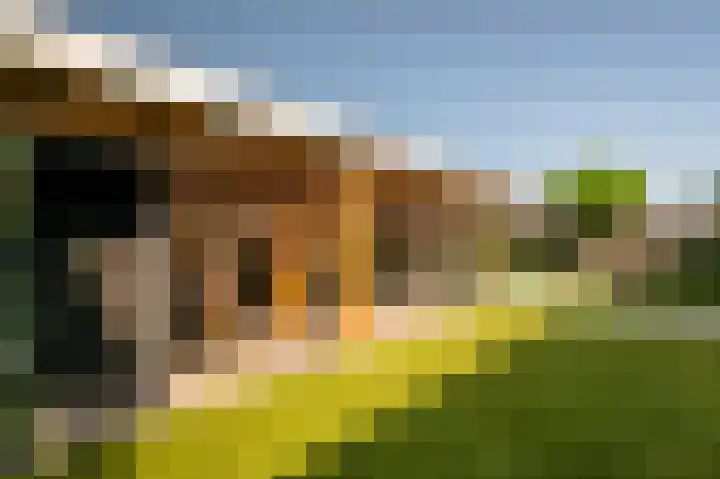 Ds. Wisseweg 19 Elspeet thumbnail 44