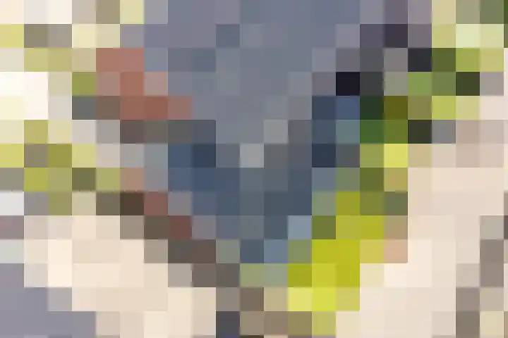 Ds. Wisseweg 19 Elspeet thumbnail 47