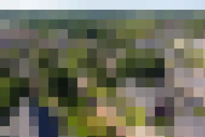 Ds. Wisseweg 19 Elspeet thumbnail 48