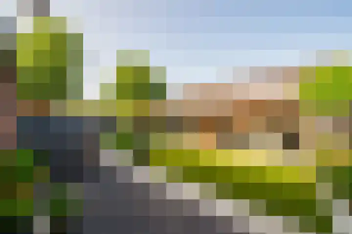 Ds. Wisseweg 19 Elspeet thumbnail 5